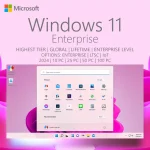 Windows 11 Enterprise Lifetime Volume License Image
